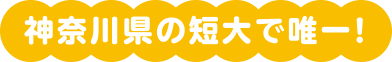 神奈川県の短大で唯一!